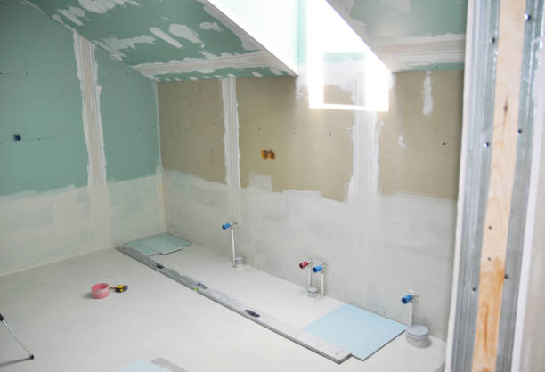 Mold Documentation for Insurance Claims in Olivet, TN