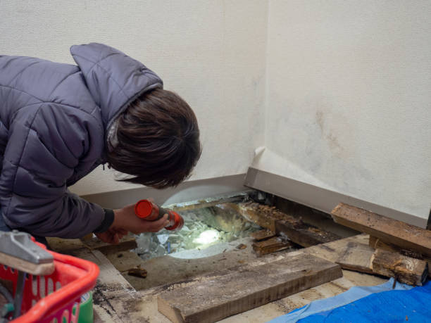 Best Post-Construction Mold Inspection  in Olivet, TN