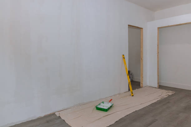 Best Mold Damage Restoration  in Olivet, TN