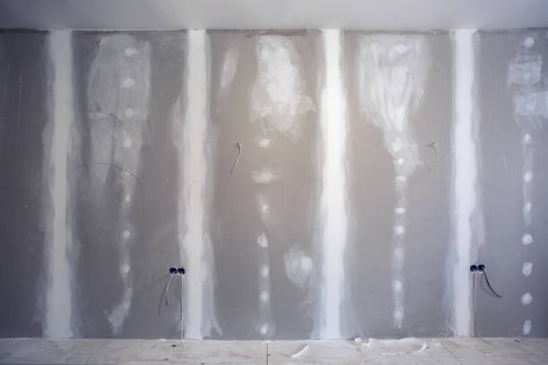 Best Comprehensive Air Testing for Mold Contaminants  in Olivet, TN
